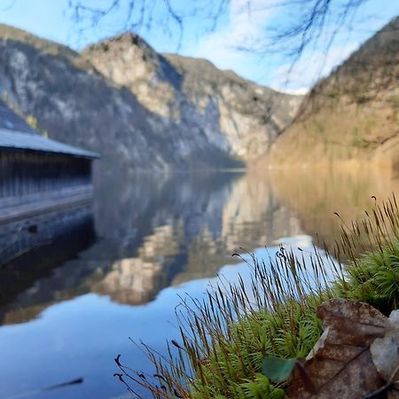 Appartementhaus Theresia Bad Mitterndorf Εξωτερικό φωτογραφία