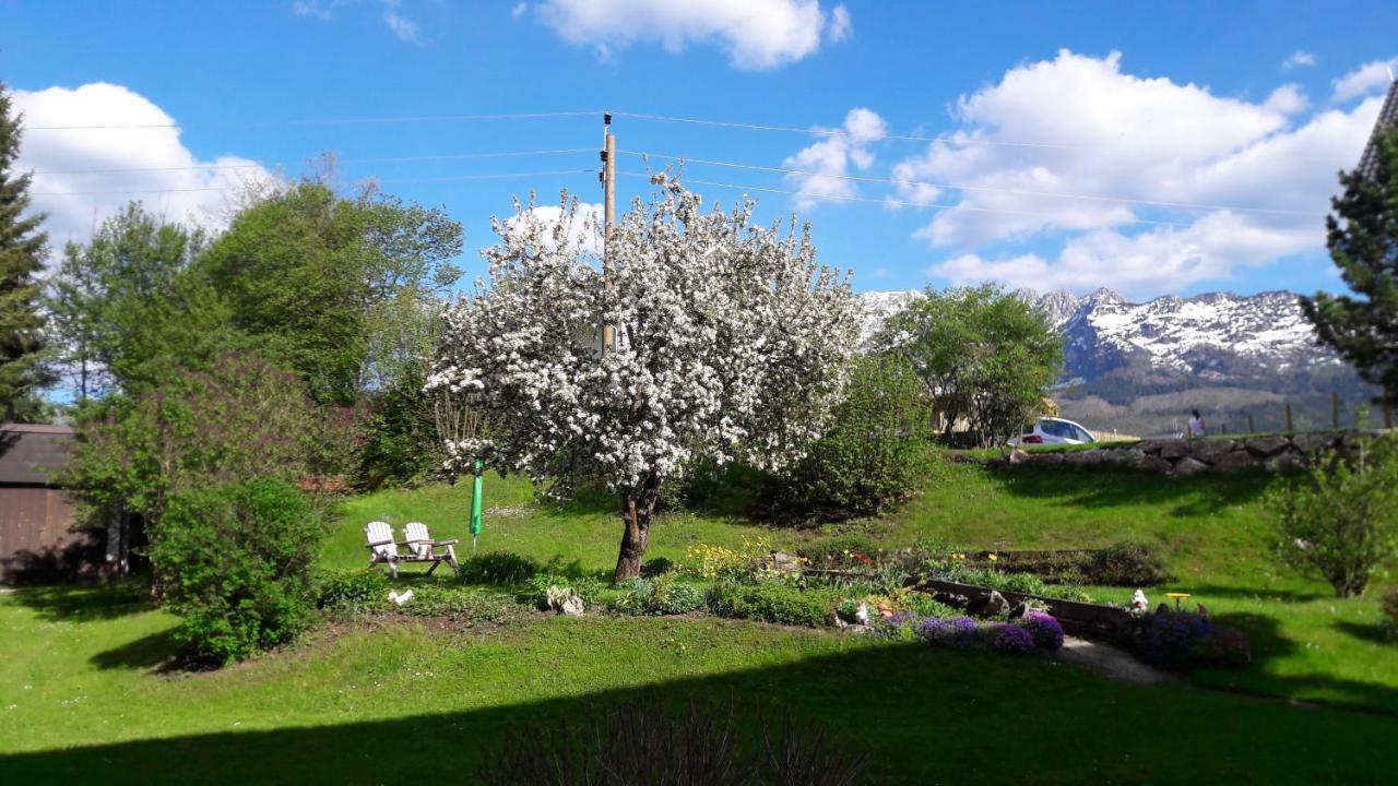 Appartementhaus Theresia Bad Mitterndorf Εξωτερικό φωτογραφία